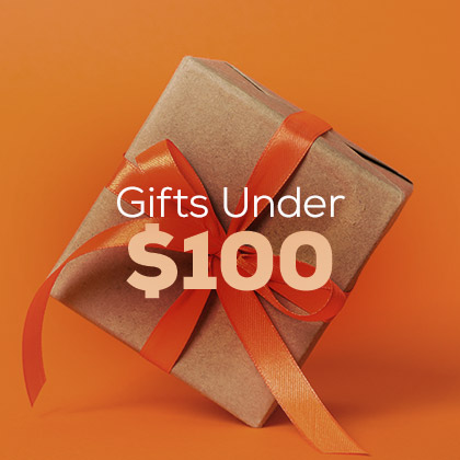 Gifts Under $100 